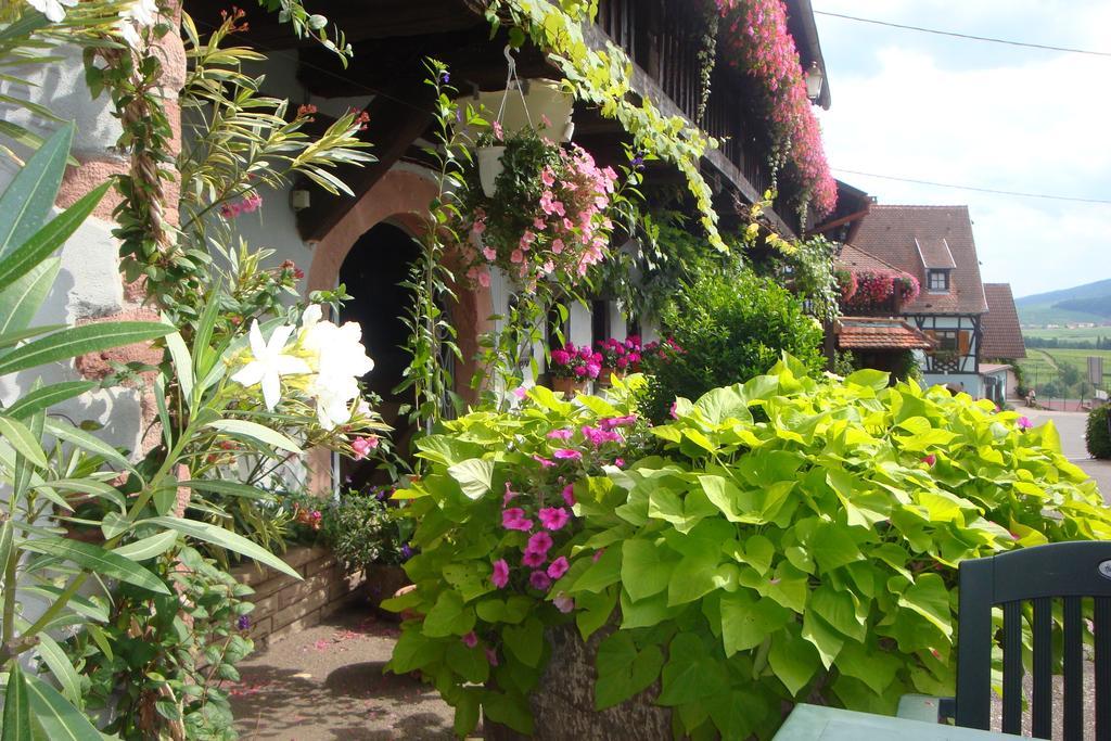 Hotel Kieffer Itterswiller Εξωτερικό φωτογραφία